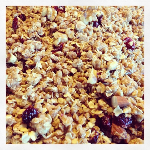 Cranberry Nut Cereal